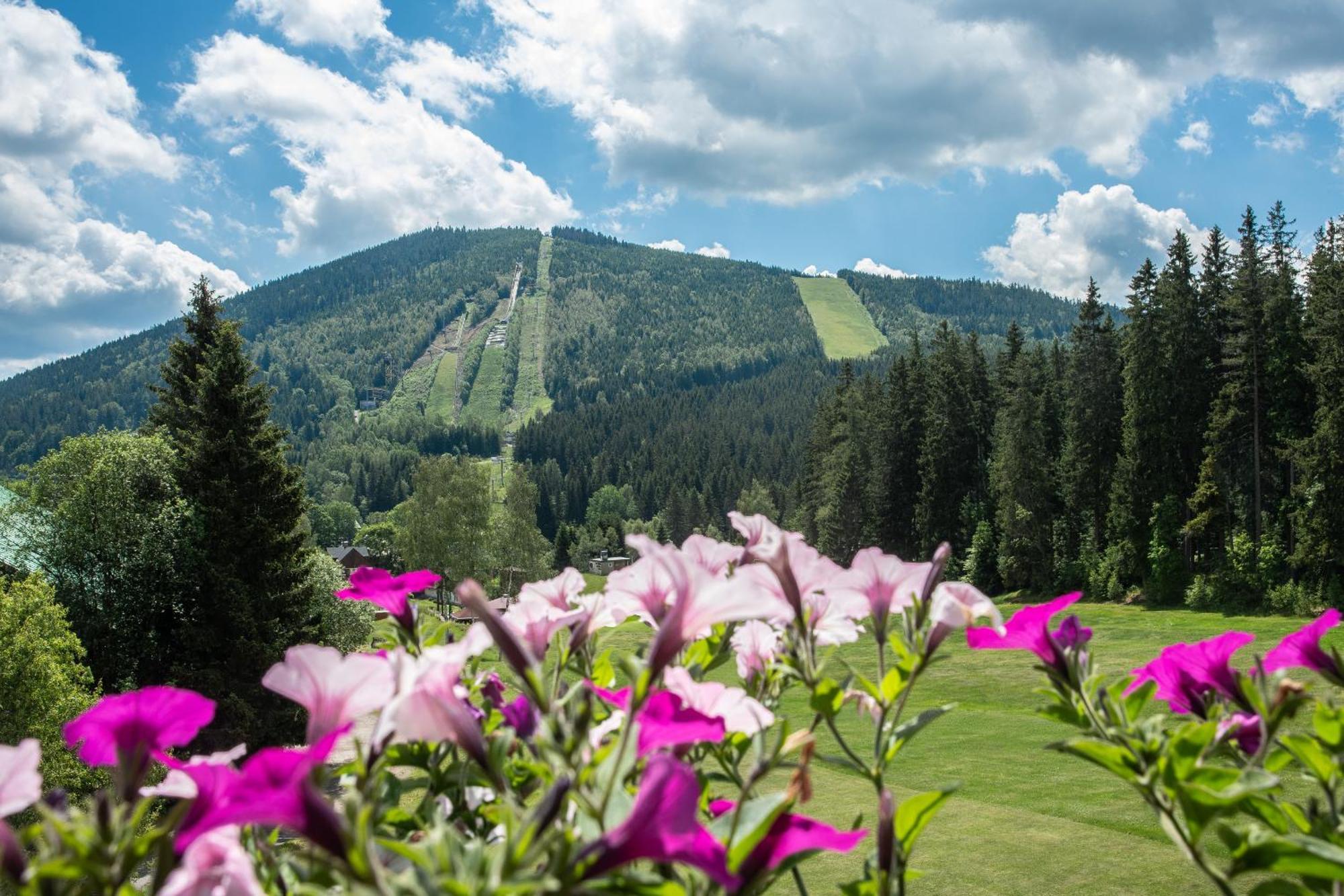 Wellness Hotel Sedy Vlk Гаррахов Екстер'єр фото