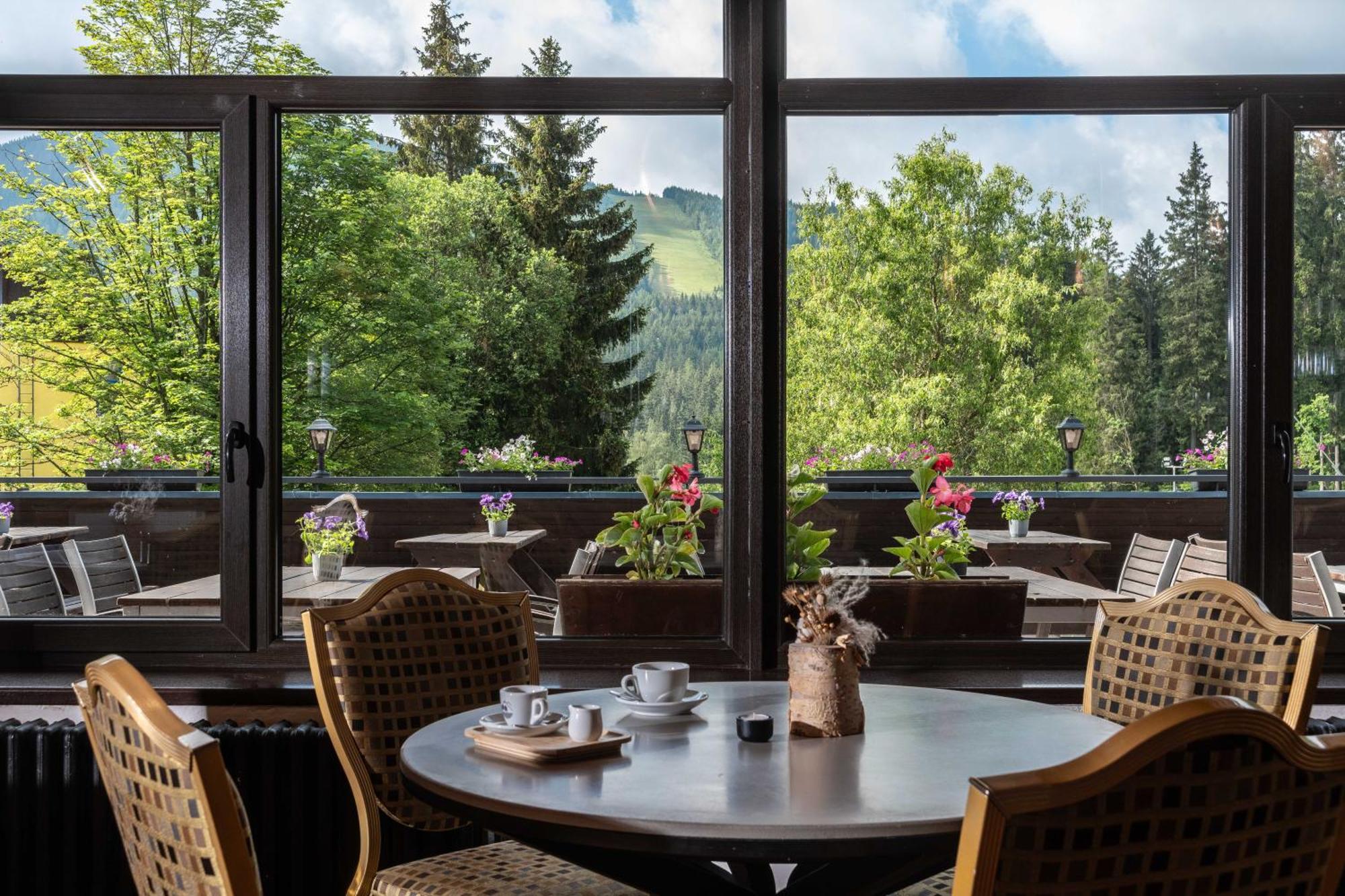 Wellness Hotel Sedy Vlk Гаррахов Екстер'єр фото